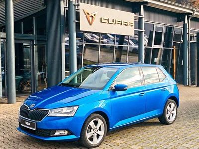 Gebraucht Skoda Fabia Cool Plus 75 PS (55 kW) 2019 Blau Kleinwagen