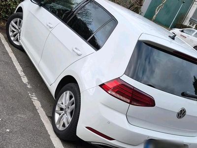 Gebraucht VW Golf VII 116 PS (85 kW) 2017 Weiß Limousine