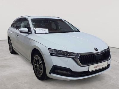 Gebraucht Skoda Octavia Clever 116 PS (85 kW) 2022 Moonweiß perleffekt Kombi