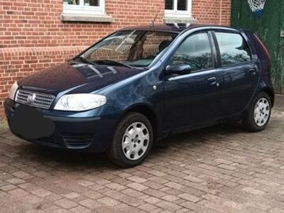 gebraucht Fiat Punto 1.2 8V Classic