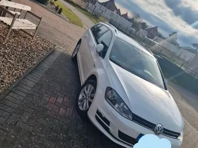 Gebraucht VW Golf VII 196 PS (144 kW) 2015 Weiß Kombi