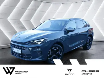 Gebraucht Cupra Terramar