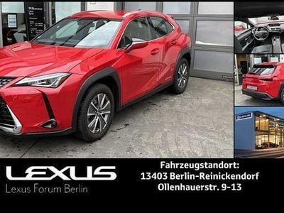Lexus UX 300e
