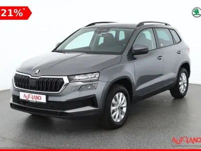 Neu Skoda Karoq Selection 150 PS (110 kW) 2025 Grau SUV