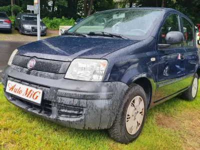 Gebraucht Fiat Panda Active 54 PS (39 kW) 2009 Blau Kleinwagen