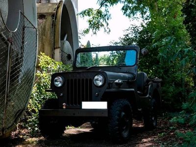 gebraucht Jeep Willys Overland von der Schweitzer Arme in tollem Zustand
