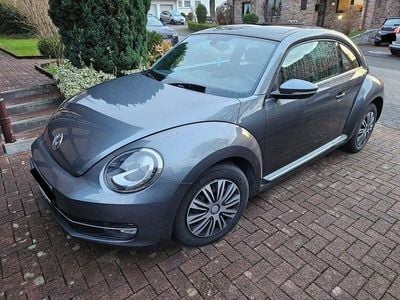 VW Beetle