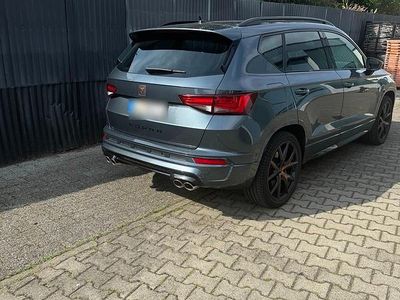 Gebraucht Cupra Leon 300 PS (220 kW) 2017 Grün Van / Kleinbus