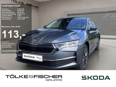 Neu Skoda Octavia Tour 150 PS (110 kW) 2026 Grau Kombi