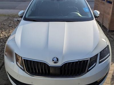 Gebraucht Skoda Octavia Clever 150 PS (110 kW) 2019 Weiß Kombi