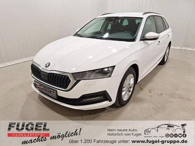 Gebraucht Skoda Octavia Ambition 116 PS (85 kW) 2022 Candyweiss Kombi