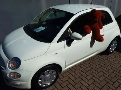 Usata Fiat 500 Pop 69 CV (50 kW) 2020 Bianco Utilitaria
