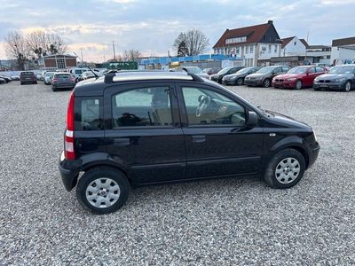 gebraucht Fiat Panda 1.2 8V Dynamic