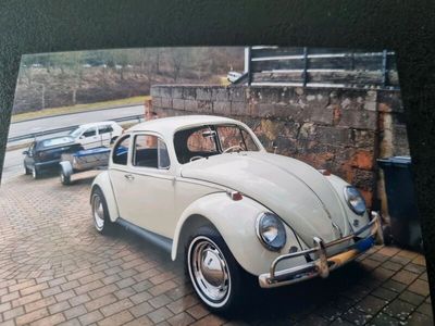 gebraucht VW Käfer 1965