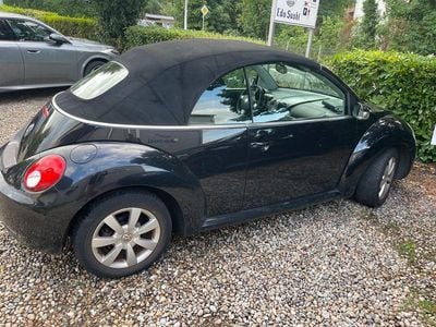 VW Beetle