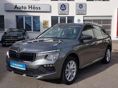 Graphitegrau metallic Neu 2025 Skoda Kamiq Selection SUV | 28.490 € (Guter Preis)