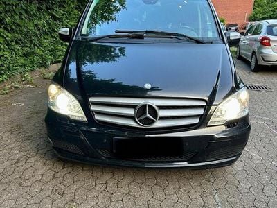 Mercedes Viano