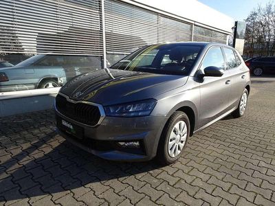 Grau Gebraucht 2024 Skoda Fabia Selection Kleinwagen | 15.799 € (Guter Preis)