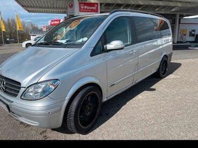 Mercedes Viano