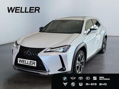 Gebraucht Lexus UX 250h 184 PS (135 kW) 2022 Weiss SUV