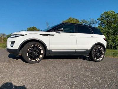 Gebraucht Land Rover Range Rover evoque Pure 150 PS (110 kW) 2013 Weiß SUV