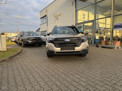 Neu Subaru Forester 136 PS (100 kW) 2025 Gold SUV