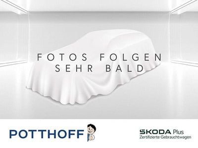 Gebraucht Skoda Karoq Selection 150 PS (110 kW) 2024 Grau SUV