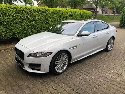 Gebraucht Jaguar XF R-Sport 300 PS (220 kW) 2017 Weiß Limousine