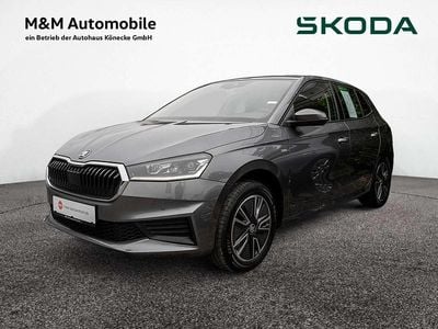 Gebraucht Skoda Fabia Tour 110 PS (80 kW) 2022 Graphitgrau Kleinwagen
