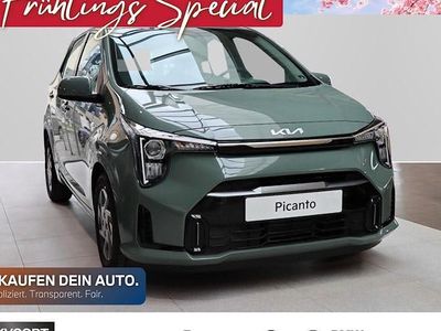 Neu Kia Picanto Vision 68 PS (50 kW) 2026 Grün Kleinwagen