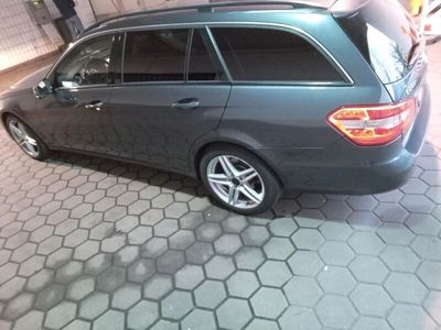 gebraucht Mercedes E250 junge sterne kombi