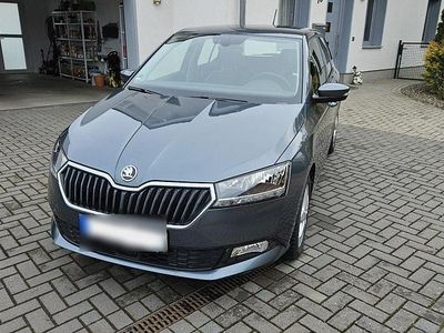 Second-hand Skoda Fabia Style 110 CP (80 kW) 2019 Gri Hatchback