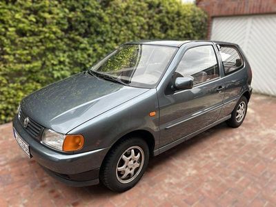VW Polo