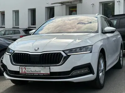 Gebraucht Skoda Octavia Style 150 PS (110 kW) 2023 Weiß Kombi