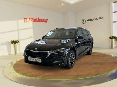 Gebraucht Skoda Octavia Ambition 150 PS (110 kW) 2023 Schwarzmagic perleffekt Kombi