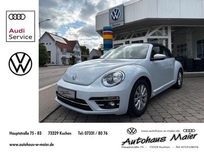VW Beetle