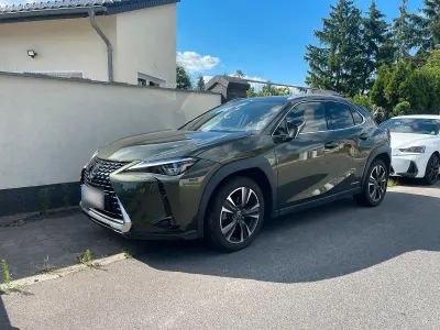 Gebraucht Lexus UX 250h Luxury Line 184 PS (135 kW) 2020 Grün SUV