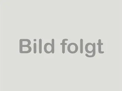 Neu MG ZS 116 PS (85 kW) 2026 Schwarz SUV