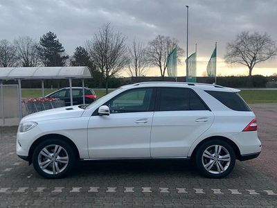 Gebraucht Mercedes ML350 245 PS (180 kW) 2013 Weiß SUV