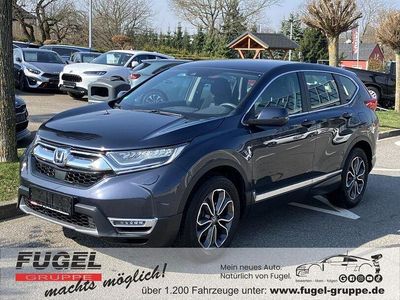 Gebraucht Honda CR-V Comfort 184 PS (135 kW) 2023 Cosmic blue m. SUV