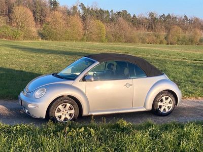 VW Beetle