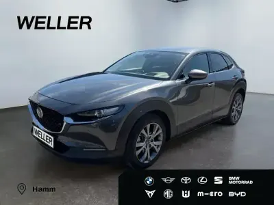 Gebraucht Mazda CX-30 Selection 179 PS (131 kW) 2020 Grau SUV