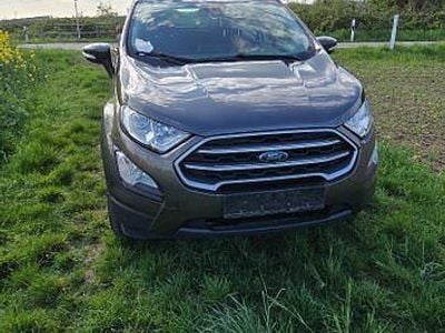 Usata Ford Ecosport 101 CV (74 kW) 2020 Grigio SUV