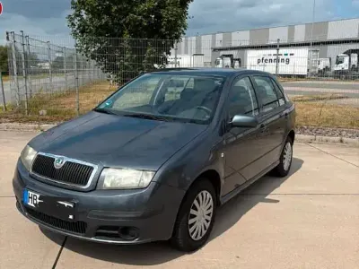 Gebraucht Skoda Fabia Classic 54 PS (39 kW) 2007 Grau Limousine