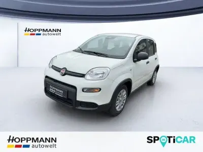 Occasion Fiat Panda Pop 69 ch (50 kW) 2025 Blanc Citadine