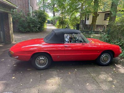 gebraucht Alfa Romeo GT Junior Spider Rundheck Duetto Spider 1300