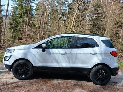 Usata Ford Ecosport Cool & Connect 125 CV (91 kW) 2018 Bianco SUV