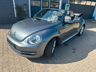 VW Beetle