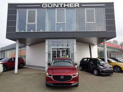 gebraucht Mazda CX-30 2.0 SKYACTIV-G M Hybrid Homura 2WD