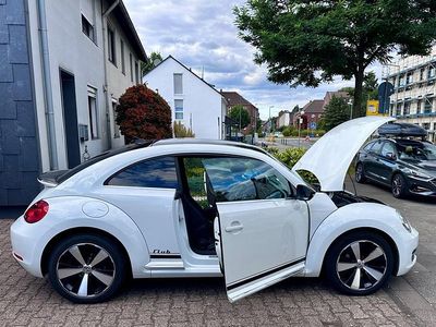 VW Beetle